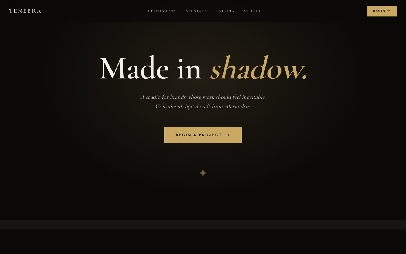 Tenebra Studio website hero reading Made in shadow